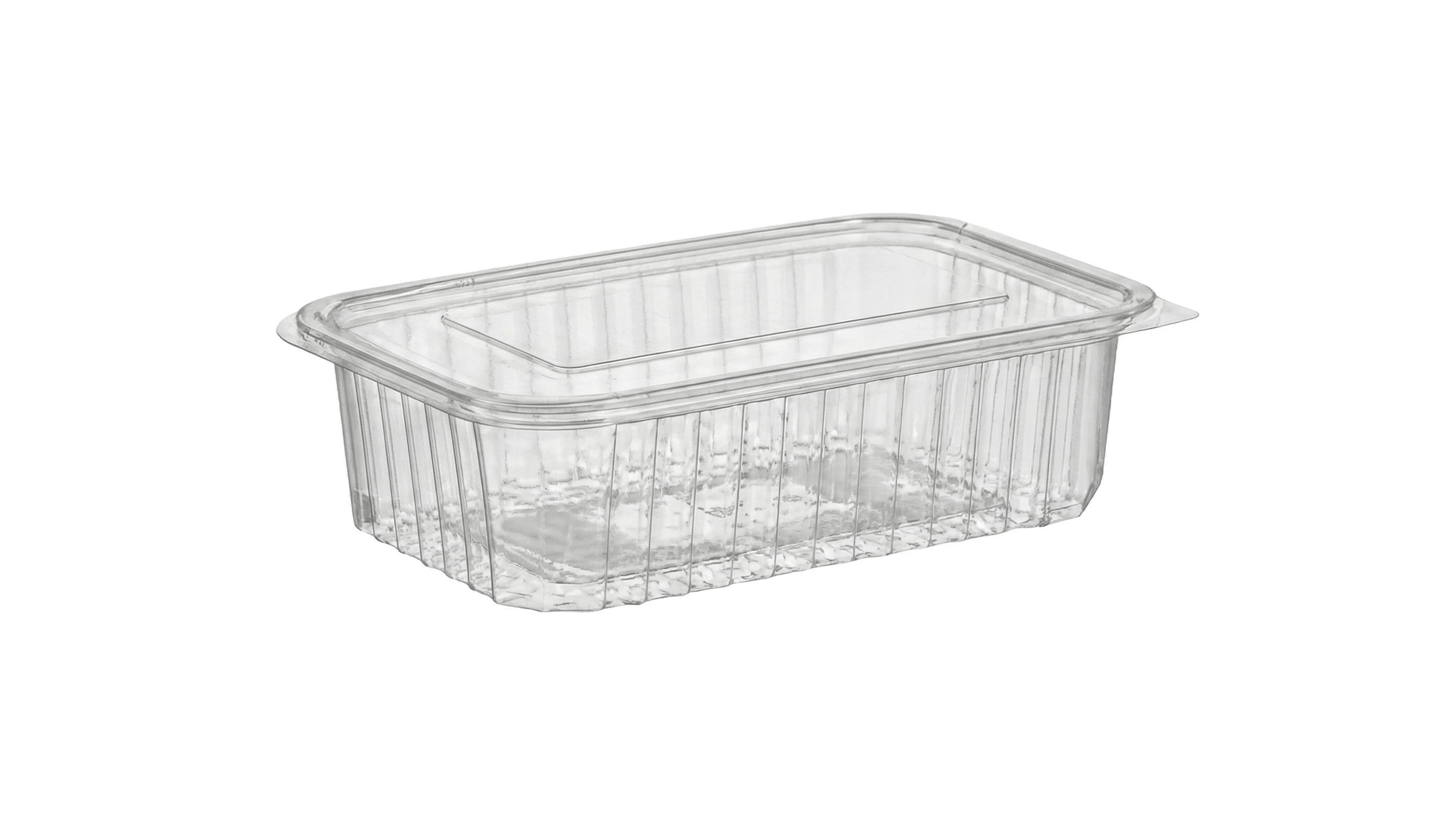 BARQUETTE PET 1000 10PCS