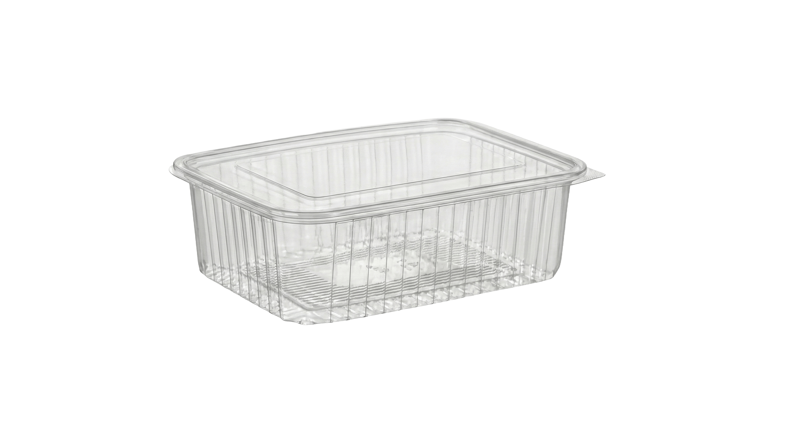 BARQUETTE PET 1250 10PCS